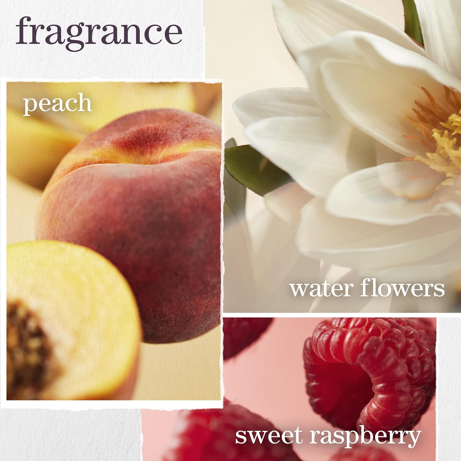 Pureology Strength Cure Conditioner, For Damaged & Color-Treated Hair, Renew Strength & Softness, Vegan & Sulfate-Free Formula