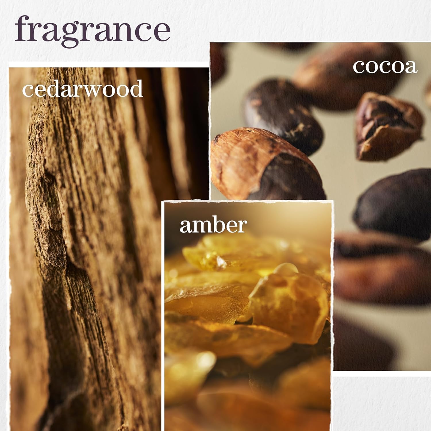 Pureology Smooth Perfection Shampoo, Frizz Control for Dry & Colored Hair, Infused with Camellia & Shea Butter, Vegan & Sulfate-Free Formula