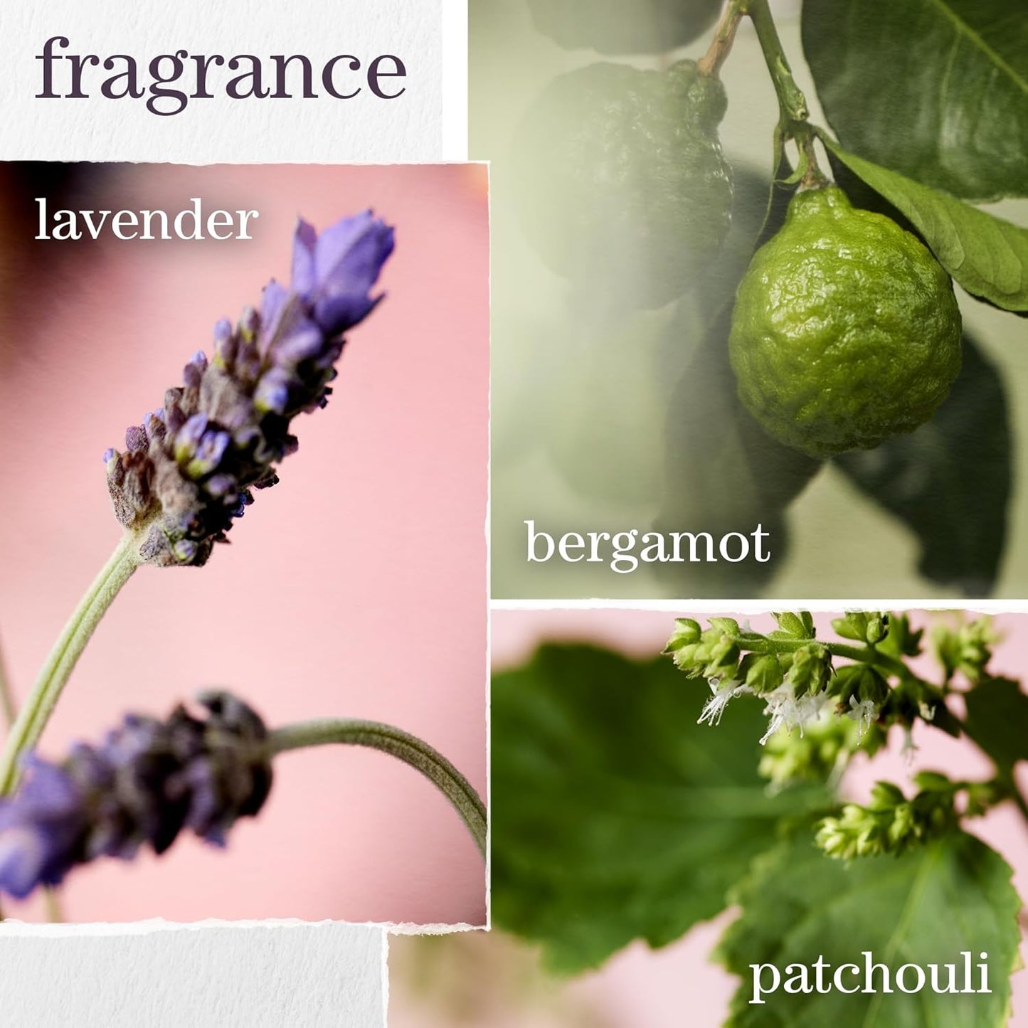 Pureology Hydrate Moisturizing Shampoo, For Medium to Thick Color-Treated Hair, Adds Shine & Softness, With Green Tea Extract, Vegan & Sulfate-Free Formula